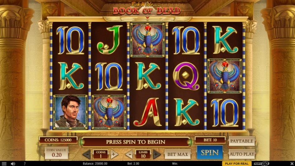Book of Dead by Play'n GO