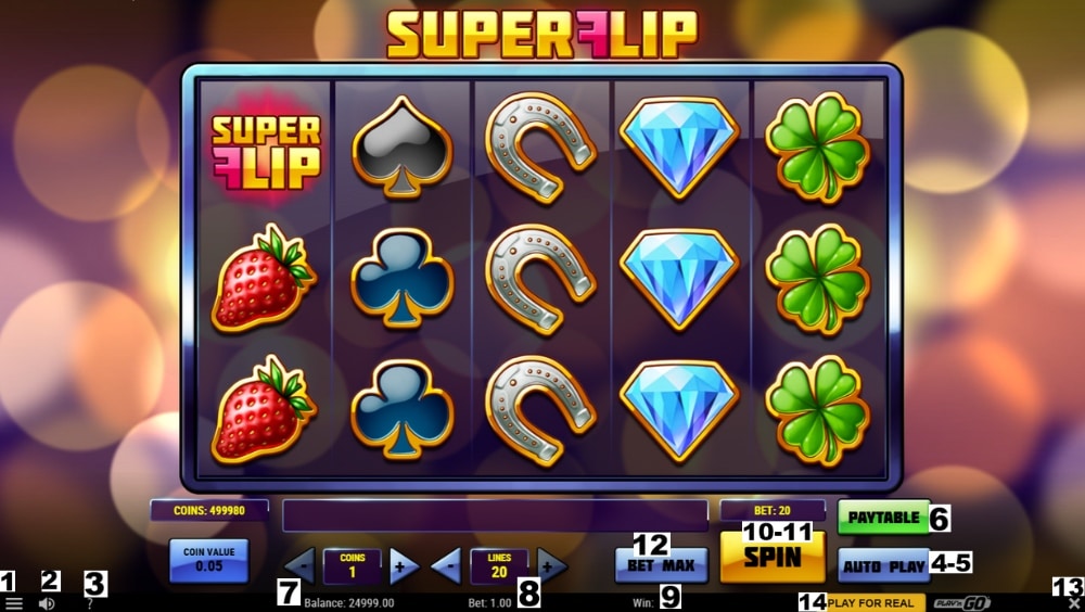 How to play the Super Flip slot