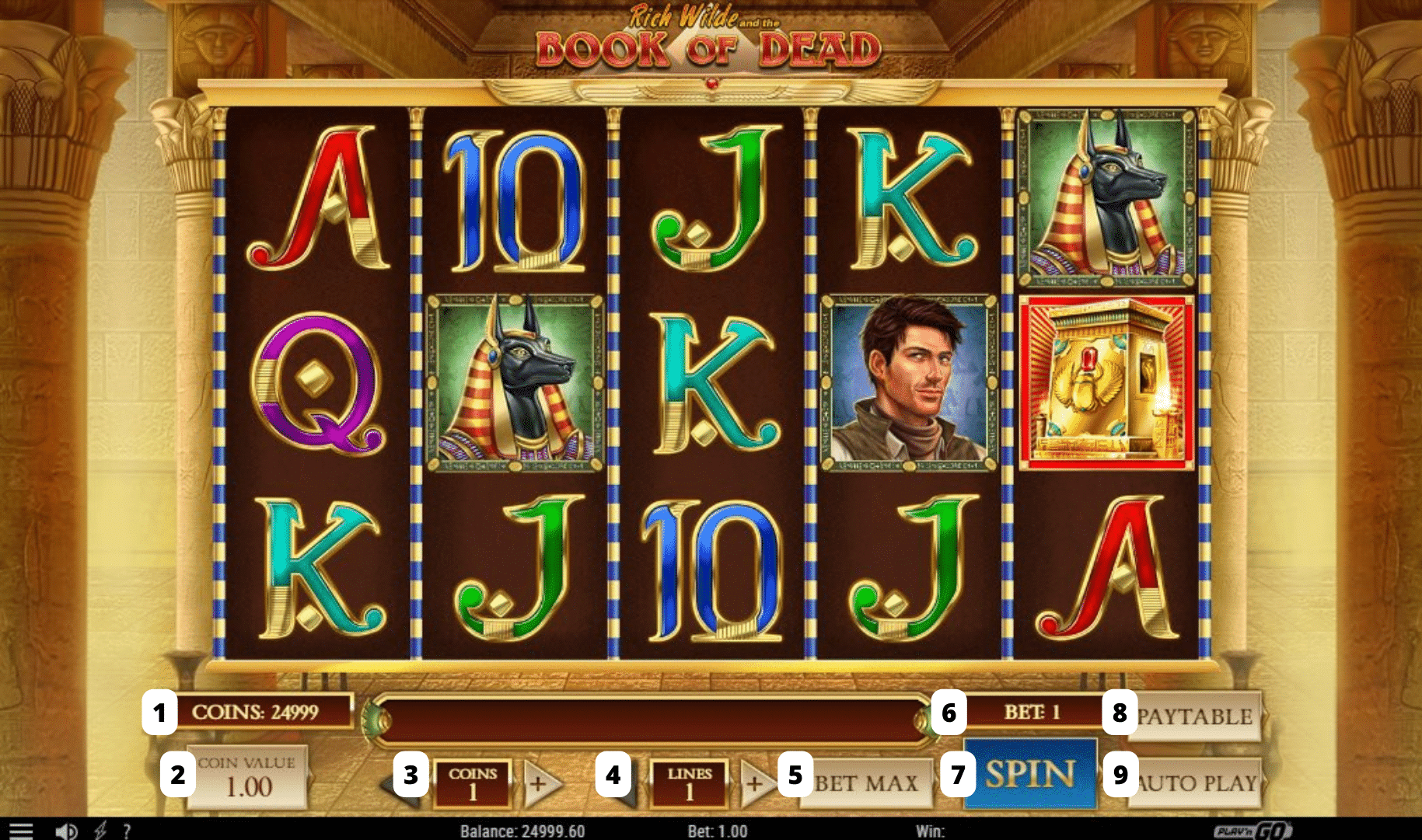 Book of Dead online slot
