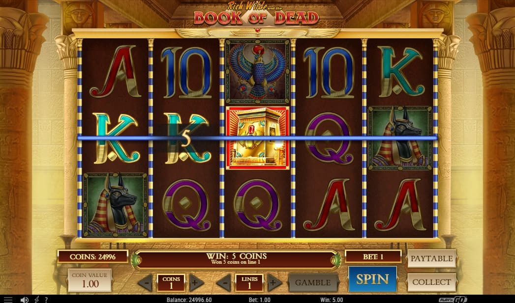Book of Dead online slot Wild