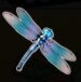 Symbol Dragonfly slot Big Bass Bonanza by Pragmatic Play