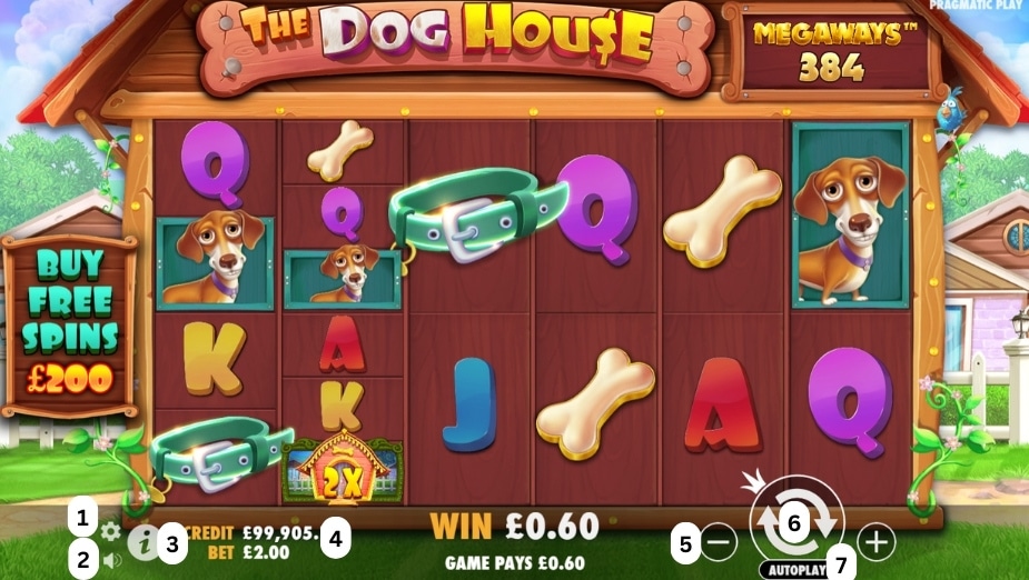 How to play The Dog House Megaways slot