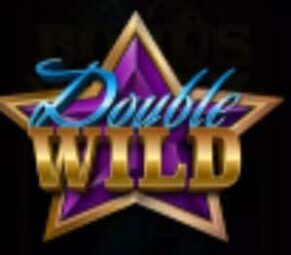 Symbol DOUBLE WILD slot 40 Classic by Casimi