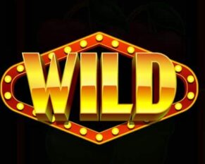 Symbol WILD Symbol slot 27 Bonus Lines by Casimi