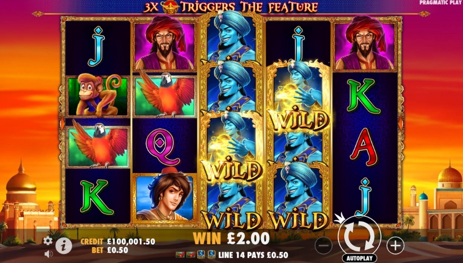 Theme and Symbols 3 Genie Wishes™