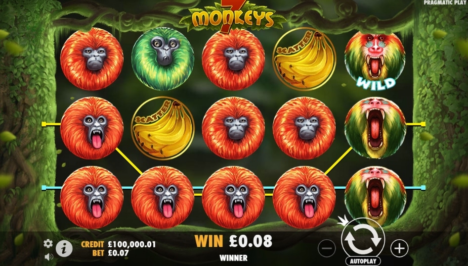 Theme and symbols 7 Monkeys™