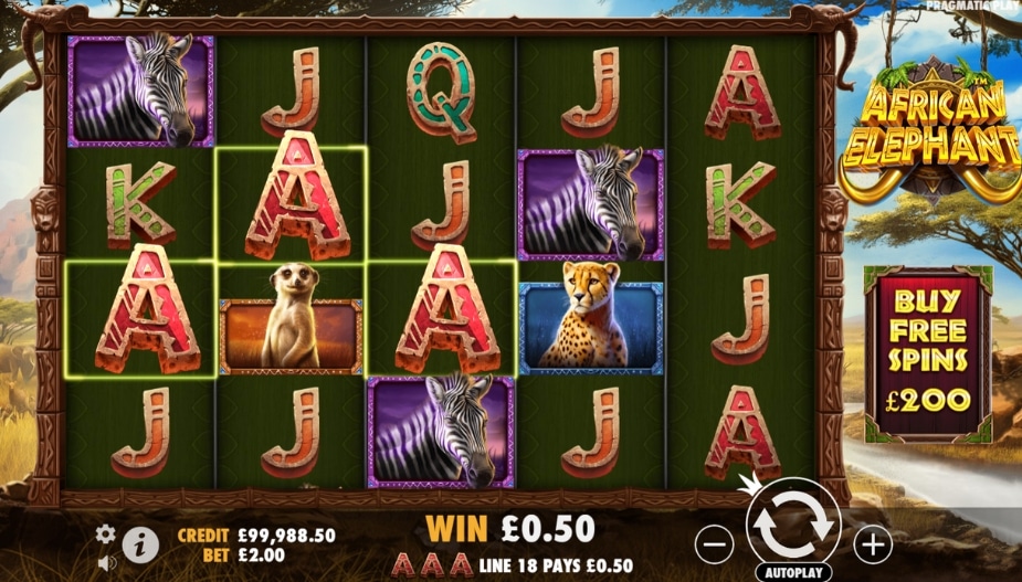 Theme and Symbols African Elephant™