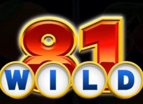 Symbol WILD Symbol slot 81 Premium by Casimi