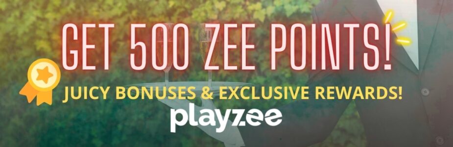 playzee promo poster rewards programme