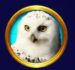 Symbol Snowy owl slot Frozen Queen by Tom Horn Gaming