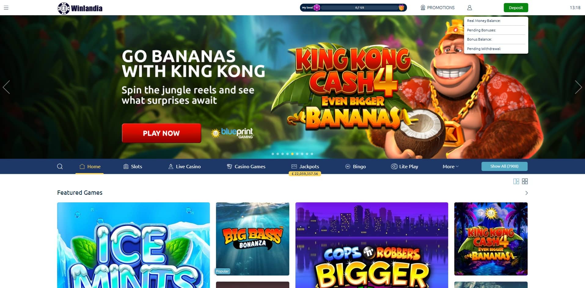 Winlandia Casino account balance