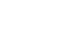 Felt