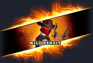 Wild Bandit