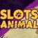Slots Animal