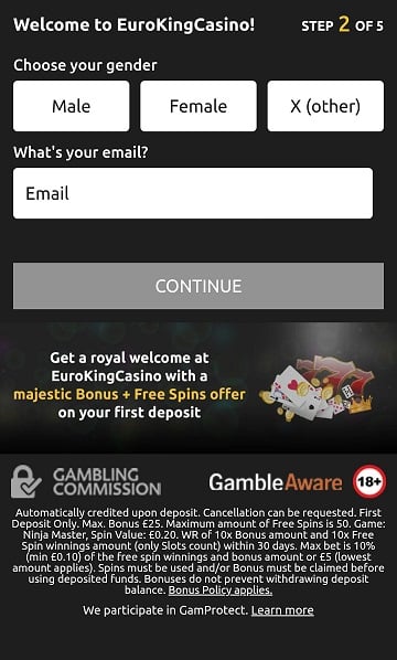 The next step includes verifying your email and choosing your gender