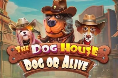 The Dog House – Dog or Alive by Pragmatic Play