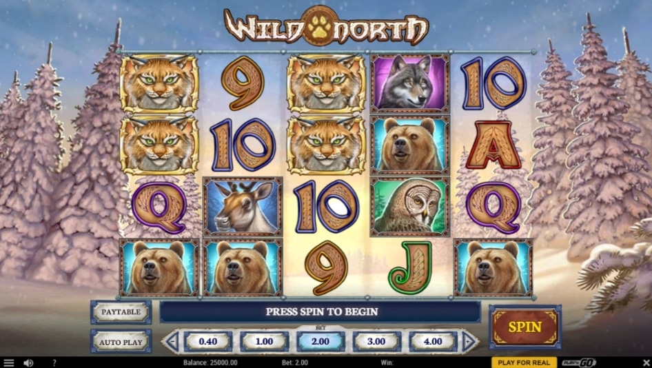 Wild North by Play'n GO