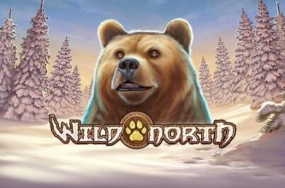Wild North by Play'n GO