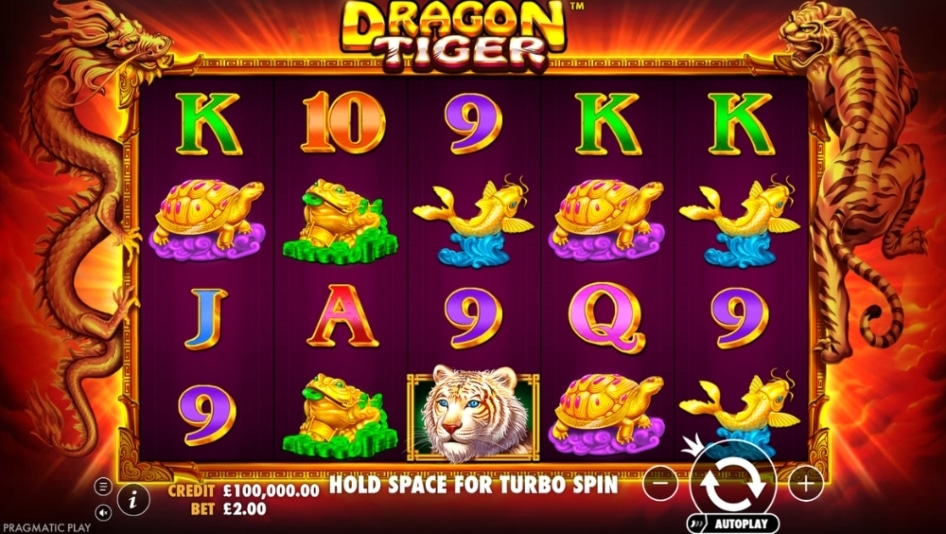 The Dragon Tiger by Pragmatic Play