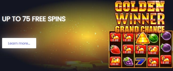 Bonus Spins offer at Fruity King