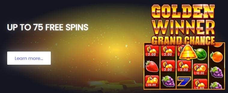 Bonus spins offer at Conquer Casino